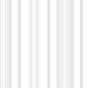SMART STRIPES G45061