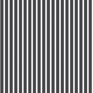 SMART STRIPES G67539