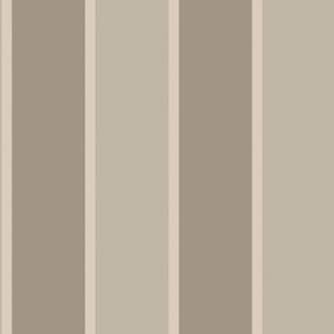 SMART STRIPES G67554