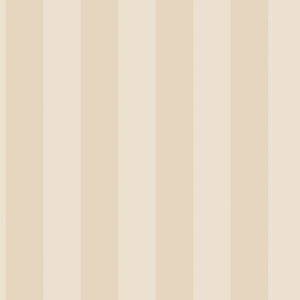 SMART STRIPES G67555
