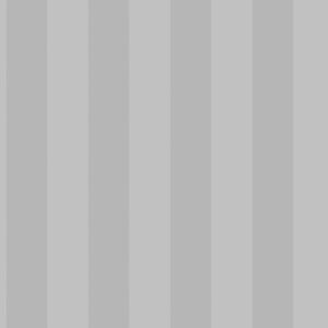 SMART STRIPES G67559